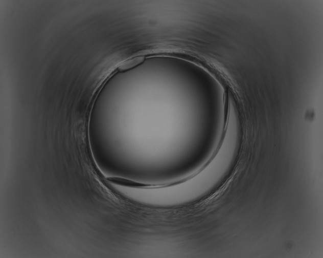 X0000091181177200708301210