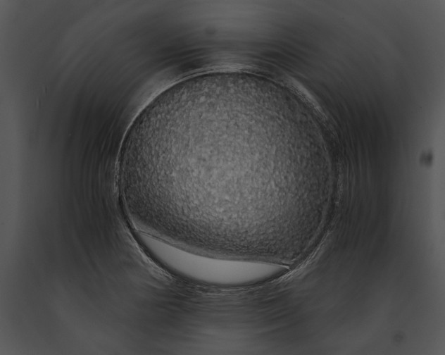 X0000091181178200708301210