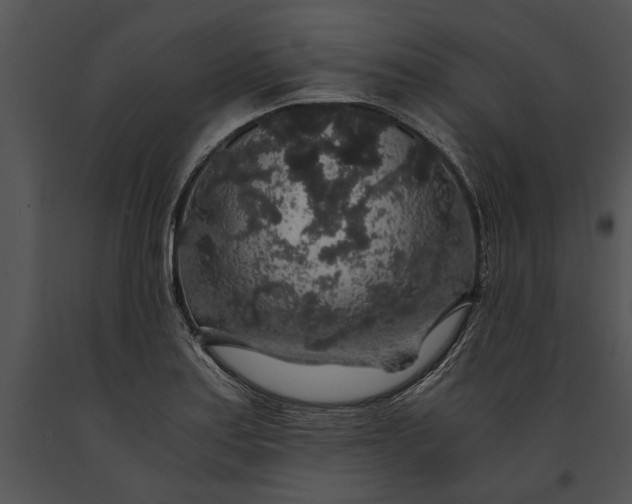 X0000091181179200708301210