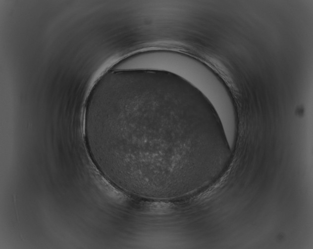 X0000091181180200708301210