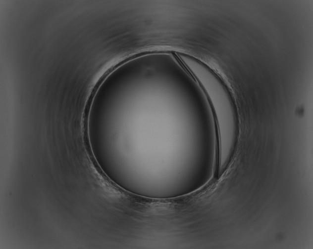 X0000091181181200708301210