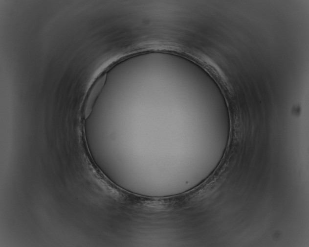 X0000091181182200708301210