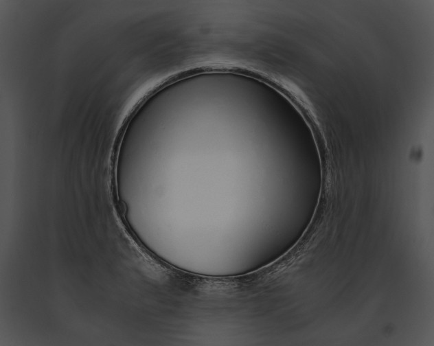 X0000091181183200708301210