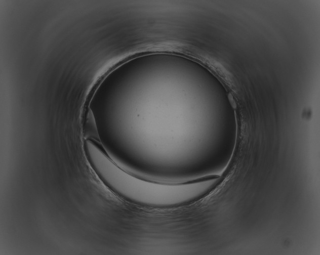 X0000091181184200708301210