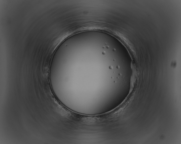 X0000091181185200708301210