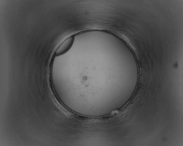 X0000091181187200708301210