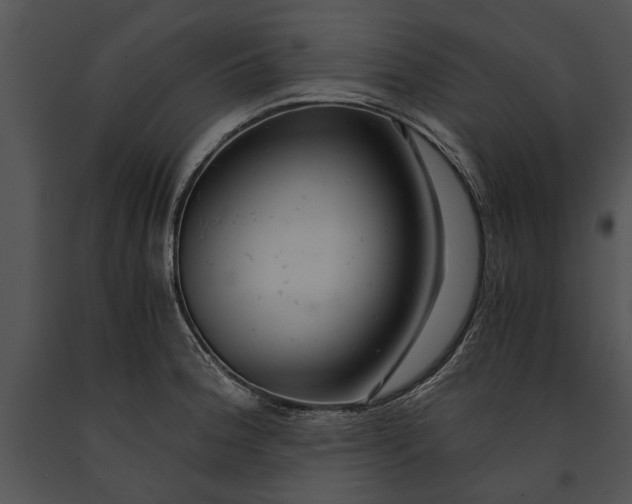 X0000091181188200708301210