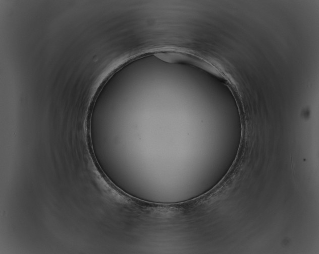 X0000091181189200708301210