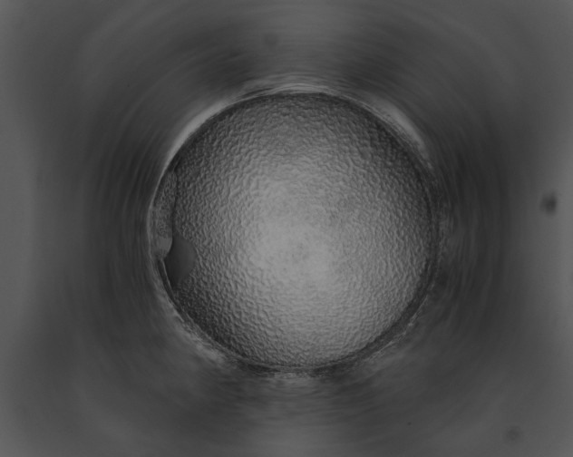 X0000091181190200708301210