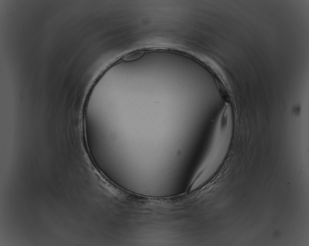 X0000091181191200708301210