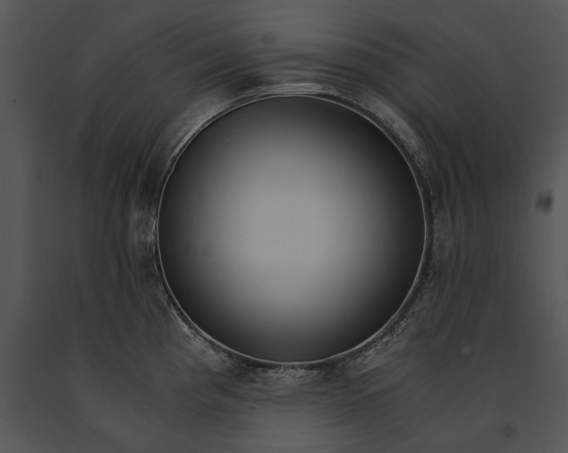 X0000091181193200708301210