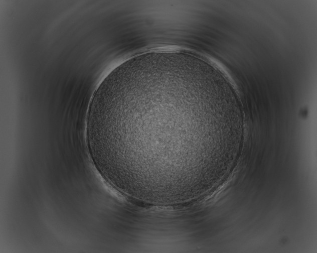 X0000091181194200708301210