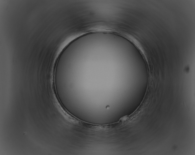 X0000091181195200708301210