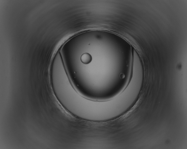 X0000091181196200708301210