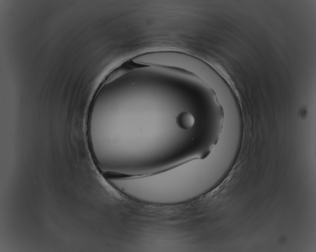 X0000091181197200708301210