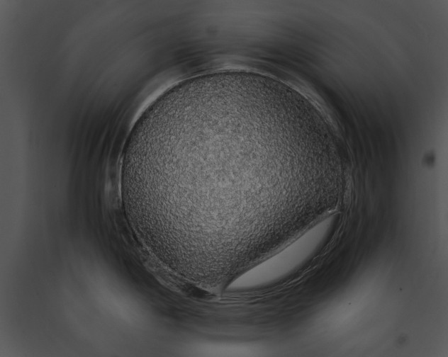 X0000091181198200708301210