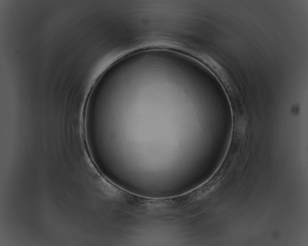 X0000091181199200708301210