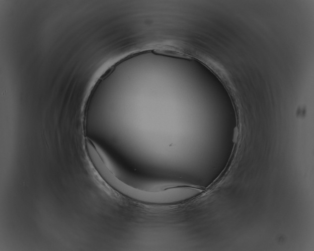 X0000091181200200708301210