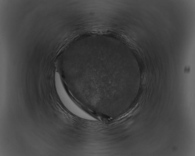 X0000091181202200708301209