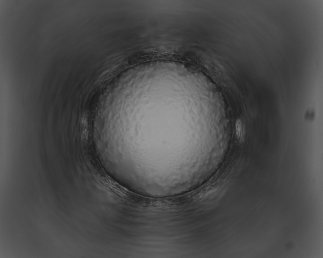 X0000091181203200708301209