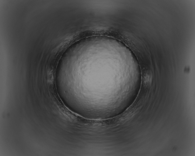 X0000091181204200708301209