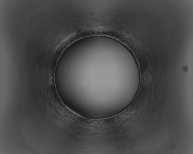 X0000091181205200708301209