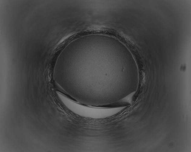 X0000091181206200708301209