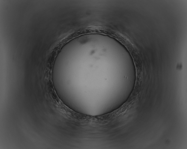 X0000091181207200708301209