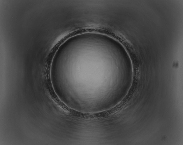 X0000091181208200708301210