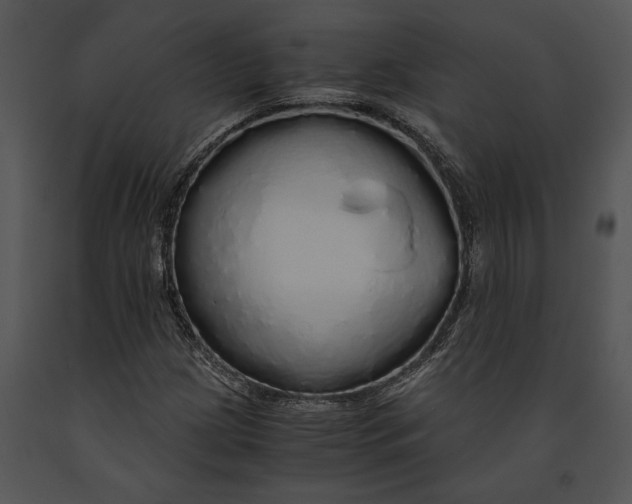 X0000091181209200708301210