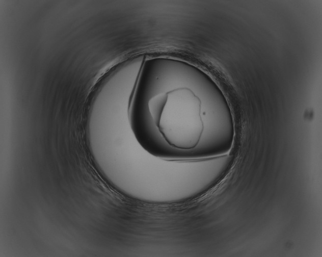 X0000091181210200708301210