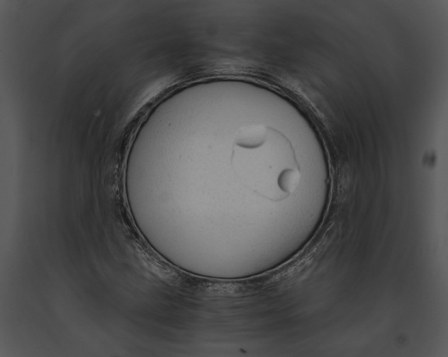 X0000091181211200708301210