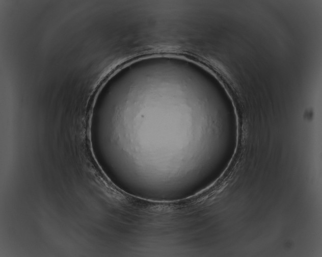 X0000091181212200708301210