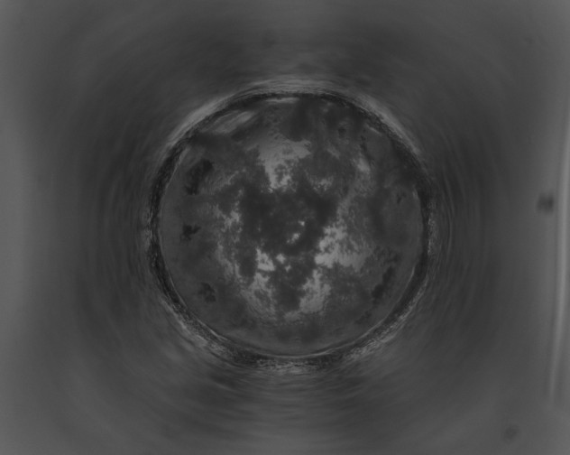 X0000091181213200708301210