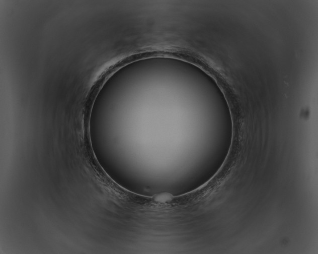 X0000091181214200708301210