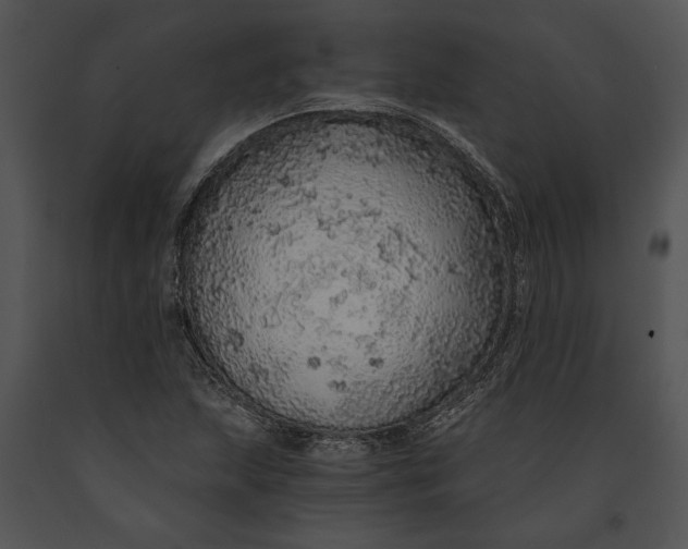 X0000091181215200708301210