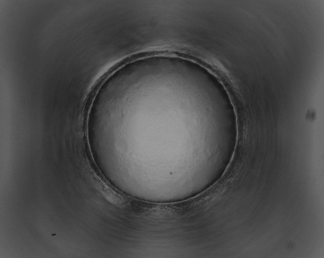 X0000091181216200708301210