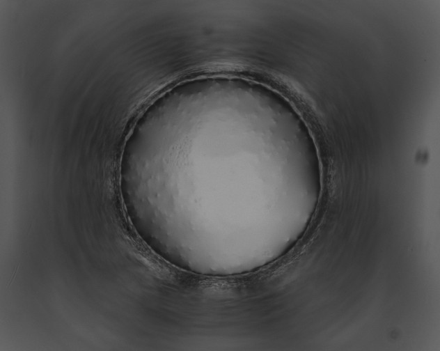 X0000091181217200708301210