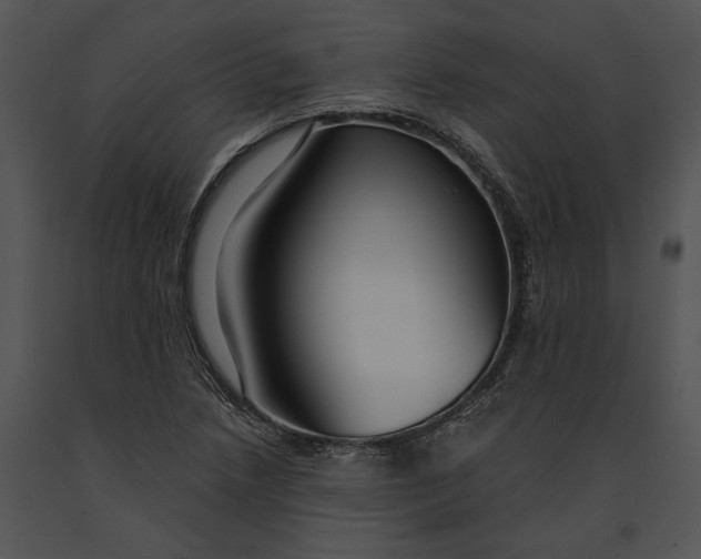 X0000091181218200708301210