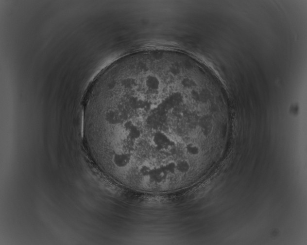 X0000091181219200708301210