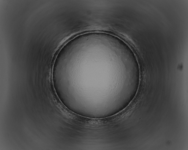 X0000091181220200708301210