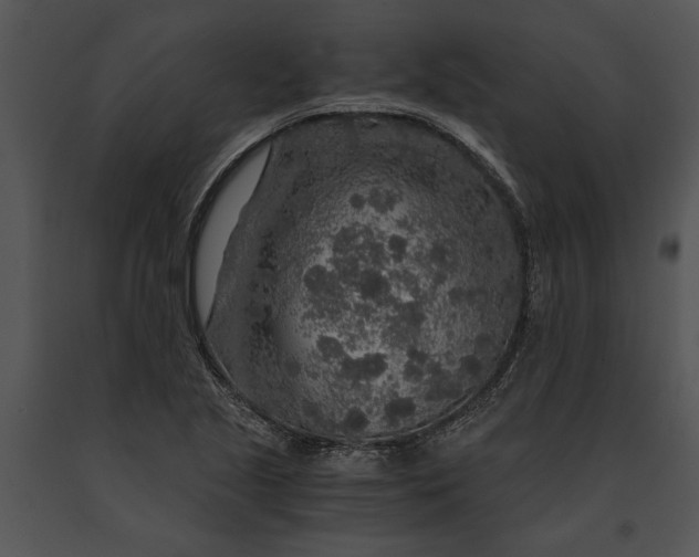 X0000091181221200708301210