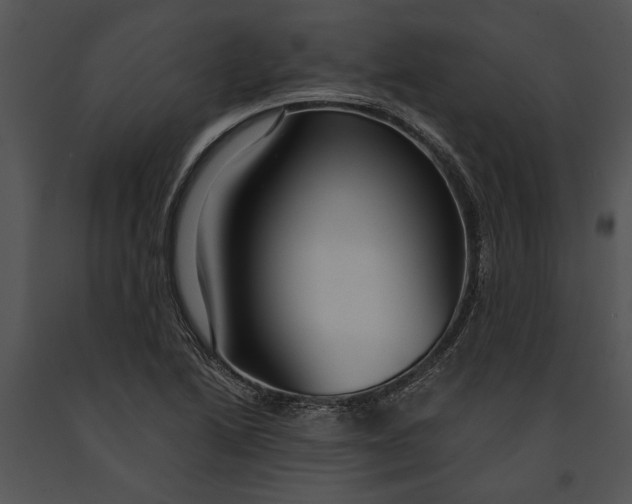 X0000091181222200708301210