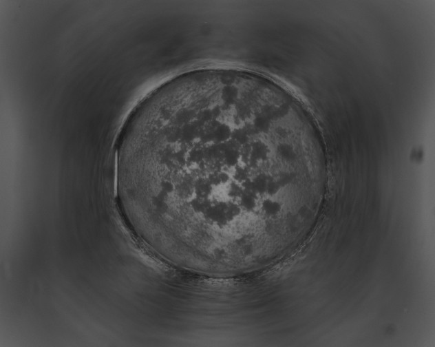 X0000091181223200708301210