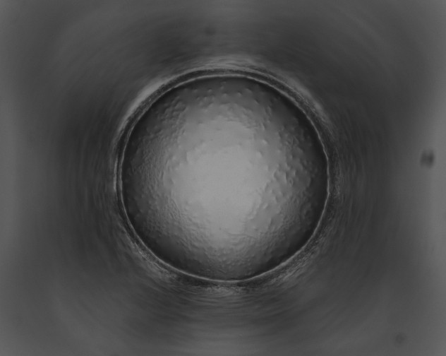 X0000091181224200708301210