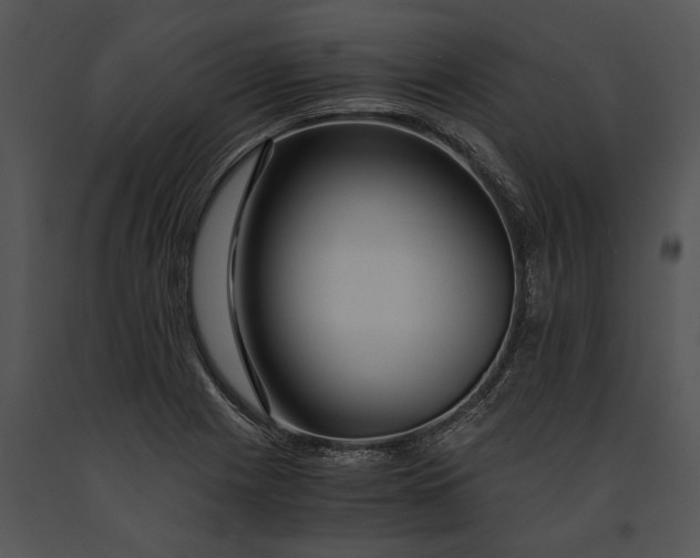 X0000091181225200708301210