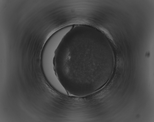 X0000091181226200708301210