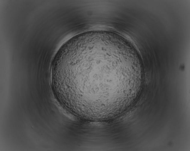 X0000091181227200708301210