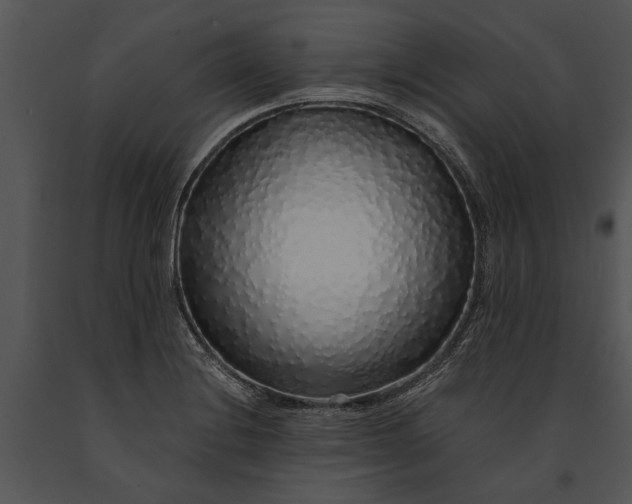 X0000091181228200708301210