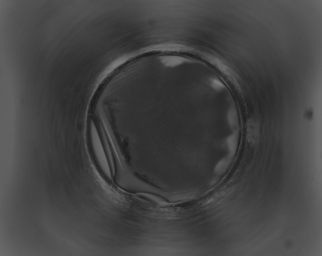 X0000091181229200708301210